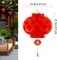 16 Pieces Chinese New Year Decorations Lanterns,10 Inch Red Paper Lantern Hanging for Celebration Chinese Spring Festival Decoration ,Chinese Party, Wedding and Restaurant,Asia home